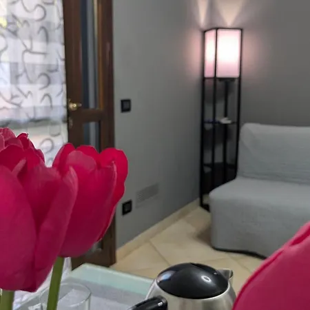 Domus Emy - Deliziosa Casa A Piano Terra Con Giardino E Posto Auto A Daire *